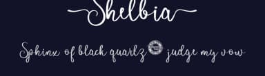 Shelbia by Calligraphy Fonts — Script Handwritten Font — thumbnail 2
