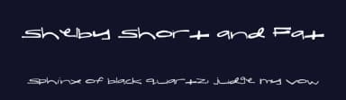 Shelby Short and Fat by Shelby Porter — Script Handwritten Font — thumbnail 2