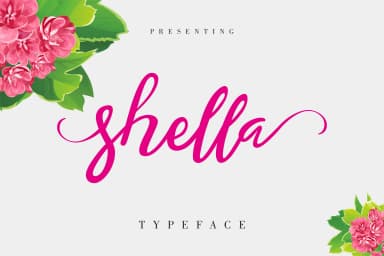 Shella Font by No Gravity Type — Script Handwritten Font — thumbnail 1