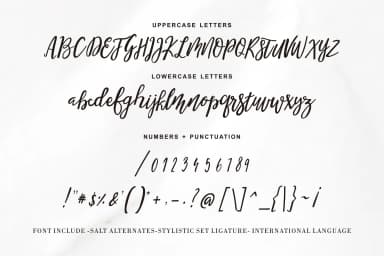 Shella Font by No Gravity Type — Script Handwritten Font — thumbnail 4