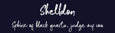 Shelldon by Azcreative Studio — Script Handwritten Font — thumbnail 2