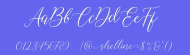 Shelline by Almarkhatype — Script Handwritten Font — thumbnail 3
