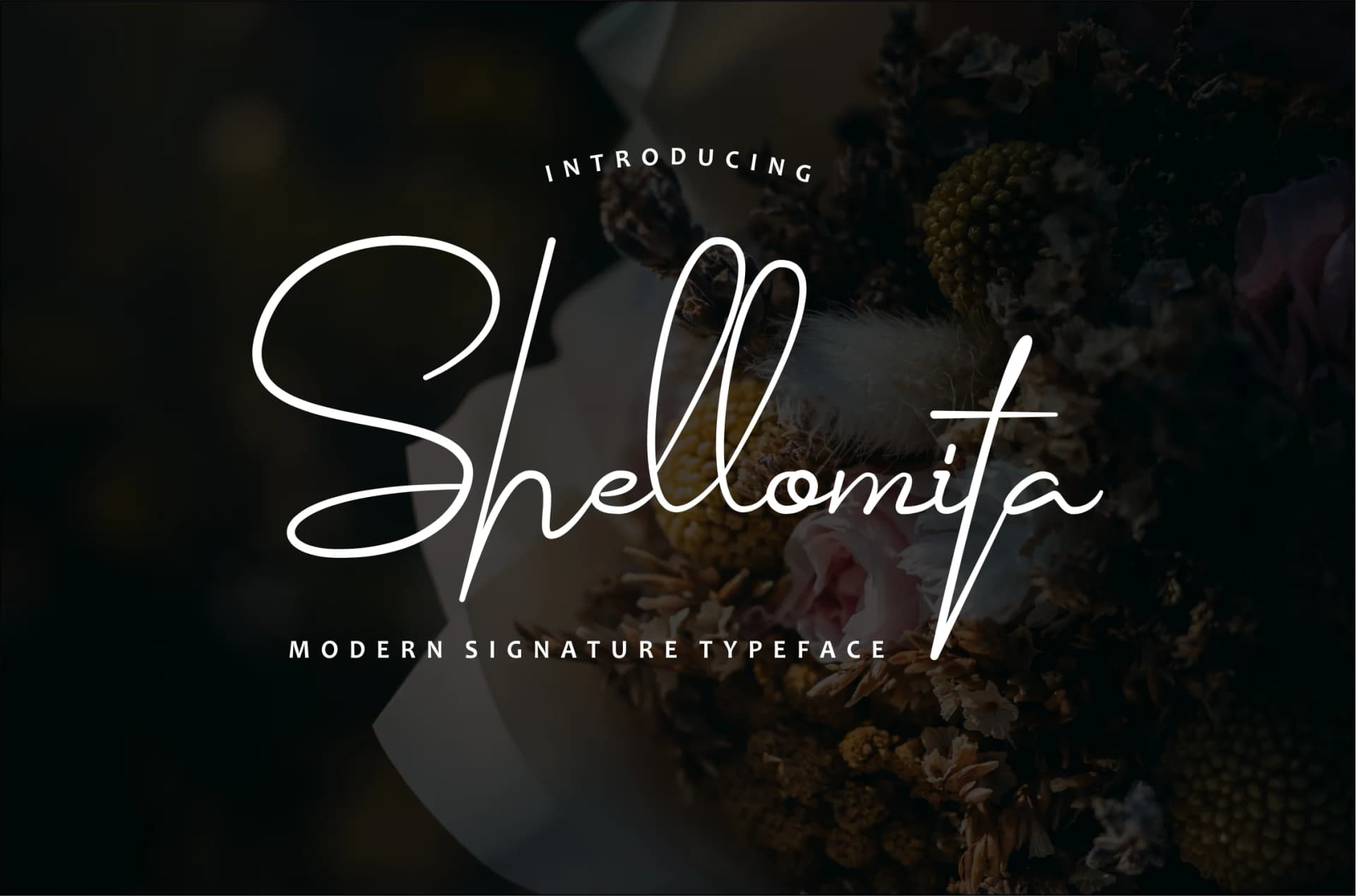 Shellomita Font by Bluestudio — Script Handwritten Font