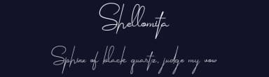 Shellomita by Blue Studio09 — Script Handwritten Font — thumbnail 2