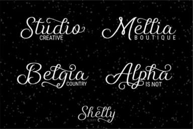 Shelly Script Font by Beautypes — Script Handwritten Font — thumbnail 2