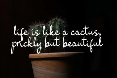 Shenttica Font by LakuFont — Script Handwritten Font — thumbnail 3