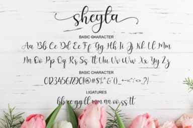 Sheyla Script Font by syakaltype — Script Handwritten Font — thumbnail 8