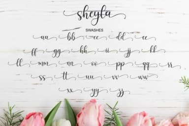 Sheyla Script Font by syakaltype — Script Handwritten Font — thumbnail 9