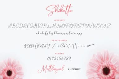 Shikatta Font by Grezline Studio — Script Handwritten Font — thumbnail 5