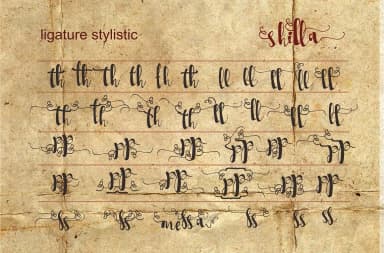 Shilla Font by typeholish — Script Handwritten Font — thumbnail 3
