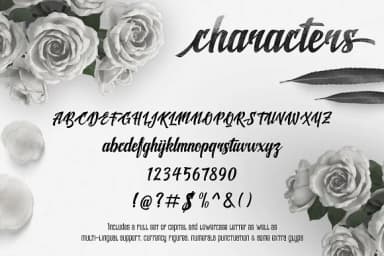 Shine Font by Rvq Type Foundry — Script Handwritten Font — thumbnail 3