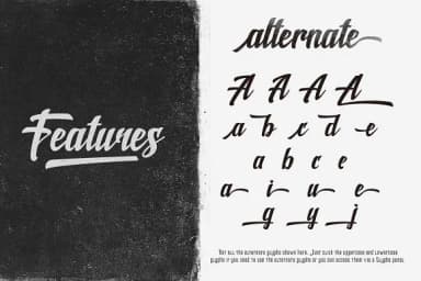 Shine Font by Rvq Type Foundry — Script Handwritten Font — thumbnail 4