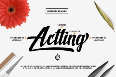 Shine Font by Rvq Type Foundry — Script Handwritten Font — thumbnail 5