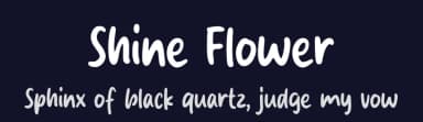 Shine Flower by MJType — Script Handwritten Font — thumbnail 2