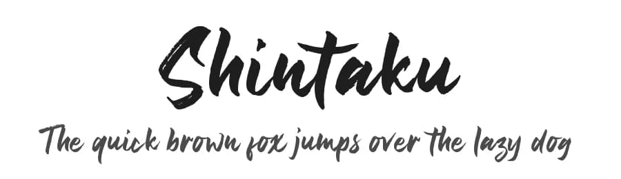Shintaku by Abo Daniel Studio — Script Handwritten Font