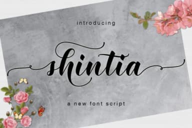 Shintia Font by Rudistudio by Rudistudio — Script Handwritten Font — thumbnail 1