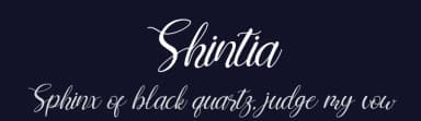 Shintia by Letterena Studios — Script Handwritten Font — thumbnail 2
