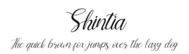 Shintia by Letterena Studios — Script Handwritten Font — thumbnail 1