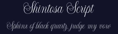 Shintosa Script by Picatype Studio — Script Handwritten Font — thumbnail 2