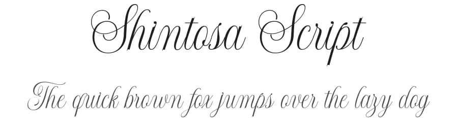 Shintosa Script by Picatype Studio — Script Handwritten Font