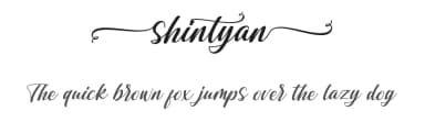 Shintyan by Alif Quentin — Script Handwritten Font — thumbnail 1