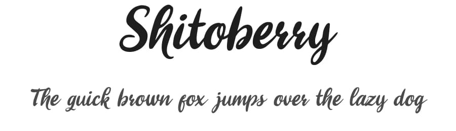 Shitoberry by cove703 — Script Handwritten Font