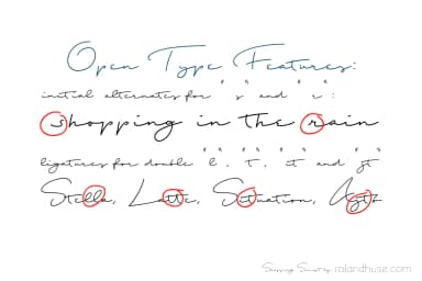 Shopping Script Font by Roland Hüse Design — Script Handwritten Font — thumbnail 4