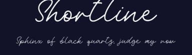 Shortline by Mini Type — Script Handwritten Font — thumbnail 2