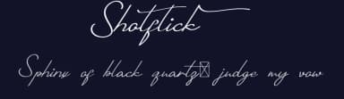 Shotflick by Calligraphy Fonts — Script Handwritten Font — thumbnail 2