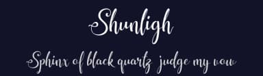 Shunligh by Ahmad Rofingi — Script Handwritten Font — thumbnail 2