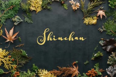 Shuntip Jan Font by Zmapist — Script Handwritten Font — thumbnail 2