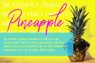 Shutten Reason Font by feydesign — Script Handwritten Font — thumbnail 3