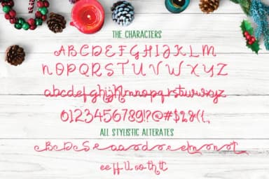 Shutterland Font by MJB Letters — Script Handwritten Font — thumbnail 2