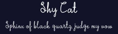 Shy Cat by Ony Studio | Solutype — Script Handwritten Font — thumbnail 2