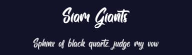 Siam Giants by Typhoon Type - Suthi Srisopha — Script Handwritten Font — thumbnail 2