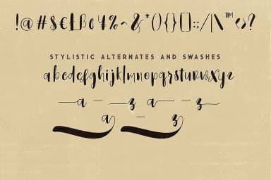 Sidebook Script Font by JumboDesign — Script Handwritten Font — thumbnail 7