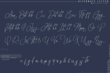 Sidoraby Font by ilhamtaro — Script Handwritten Font — thumbnail 9