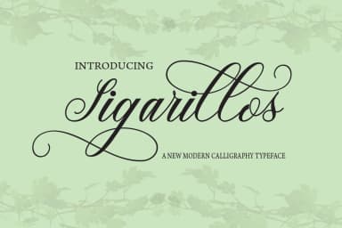 Sigarillos Font by Danti — Script Handwritten Font — thumbnail 1