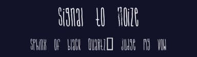 Signal to Noize by Divide by Zero — Script Handwritten Font — thumbnail 2