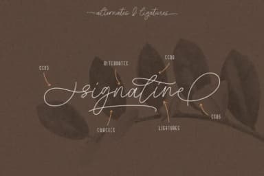 Signaline Duo Font by Typehand Studio — Script Handwritten Font — thumbnail 9