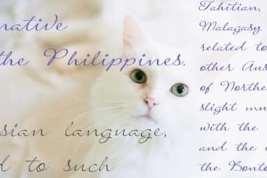 Signarita Louisse Font by dondon_nillo — Script Handwritten Font — thumbnail 3