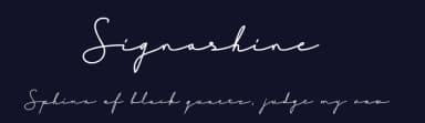 Signashine by Hardtype — Script Handwritten Font — thumbnail 2