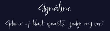 Signatine by Inermedia Studio — Script Handwritten Font — thumbnail 2
