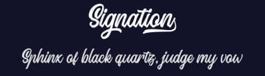 Signation by Garisman Studio — Script Handwritten Font — thumbnail 2