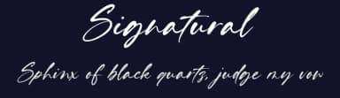 Signatural by Letteralle Studios — Script Handwritten Font — thumbnail 2