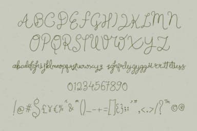 Signature Street Font by Dasagani — Script Handwritten Font — thumbnail 6