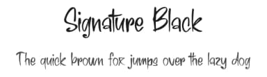 Signature Black by Creative Zone — Script Handwritten Font — thumbnail 1