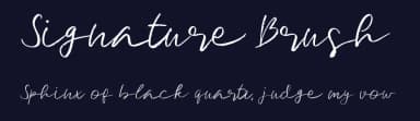 Signature Brush by Al Ghul — Script Handwritten Font — thumbnail 2