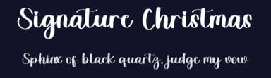 Signature Christmas by FreshtypeINK — Script Handwritten Font — thumbnail 2
