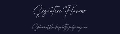 Signature Flavour by Geranium Space — Script Handwritten Font — thumbnail 2